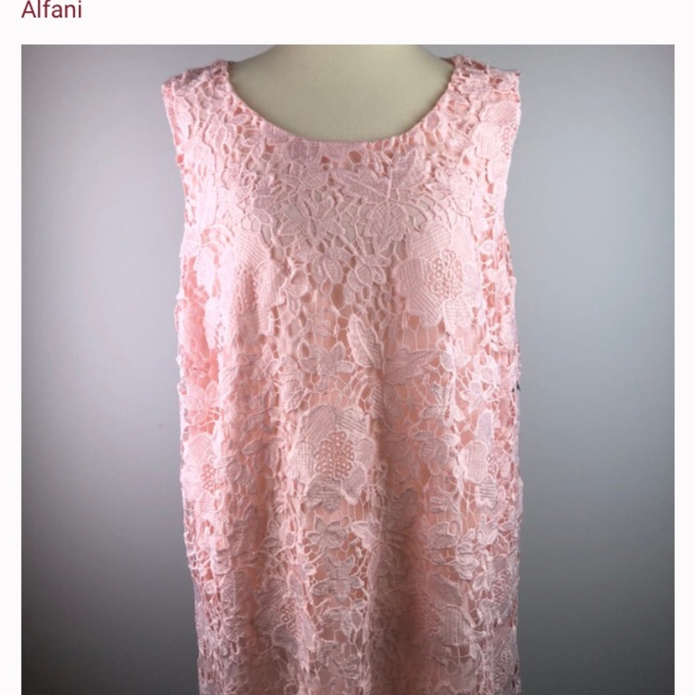 Alfani Sleeveless Lace Top, NWT, Pink, Size 14